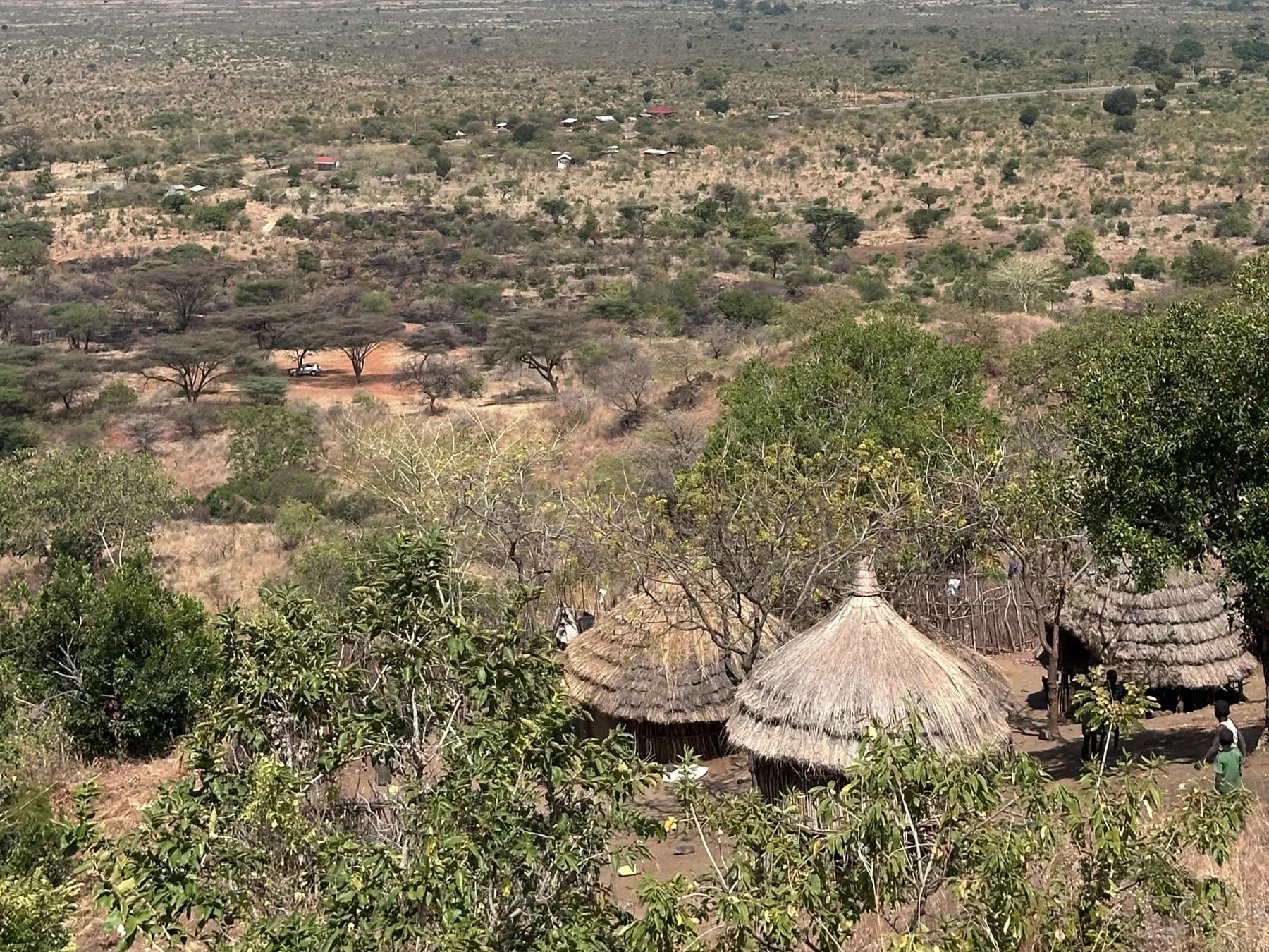 A village and surrounding bush seen from an escarpment