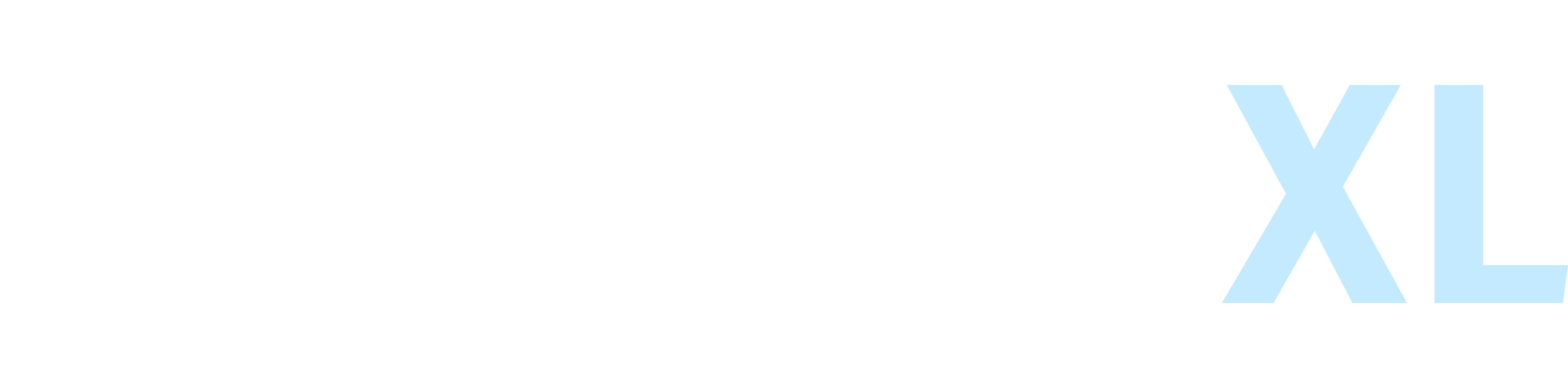 Data XL Logo